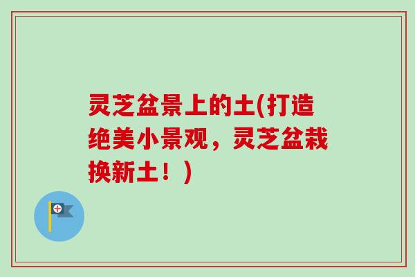 灵芝盆景上的土(打造绝美小景观，灵芝盆栽换新土！)