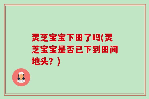 灵芝宝宝下田了吗(灵芝宝宝是否已下到田间地头？)