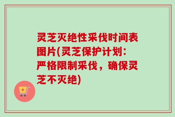 灵芝灭绝性采伐时间表图片(灵芝保护计划:严格限制采伐,确保灵芝不灭绝) 灵芝灭绝性采伐时间表图片(灵芝保护计划:严格限制采伐,确保灵芝不灭绝)