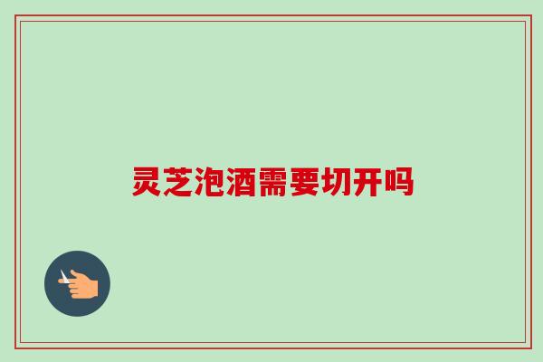 灵芝泡酒需要切开吗