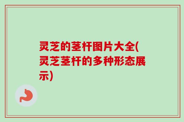 灵芝的茎杆图片大全(灵芝茎杆的多种形态展示)