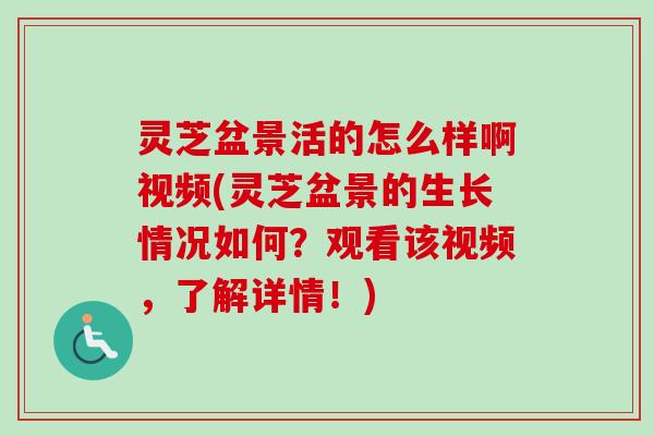 灵芝盆景活的怎么样啊视频(灵芝盆景的生长情况如何?观看该视频,了解详情!) 灵芝盆景活的怎么样啊视频(灵芝盆景的生长情况如何?观看该视频,了解详情!)