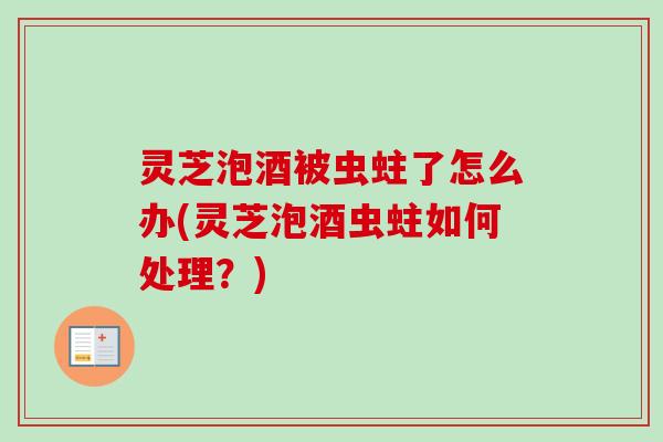 灵芝泡酒被虫蛀了怎么办(灵芝泡酒虫蛀如何处理？)