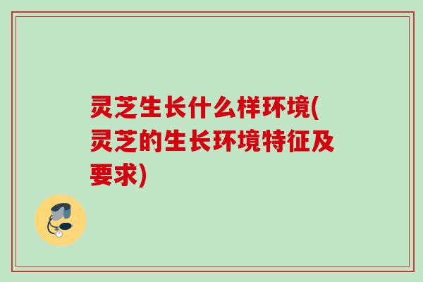 灵芝生长什么样环境(灵芝的生长环境特征及要求)