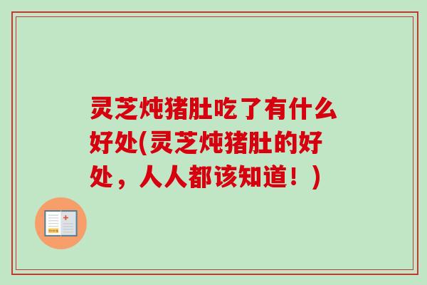 灵芝炖猪肚吃了有什么好处(灵芝炖猪肚的好处，人人都该知道！)