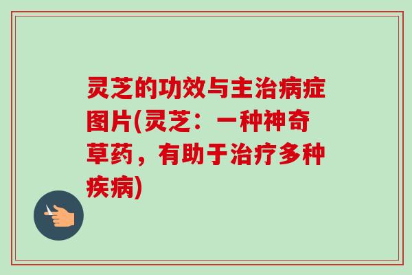灵芝的功效与主症图片(灵芝:一种神奇草药,有助于多种) 灵芝的功效与主症图片(灵芝:一种神奇草药,有助于多种)