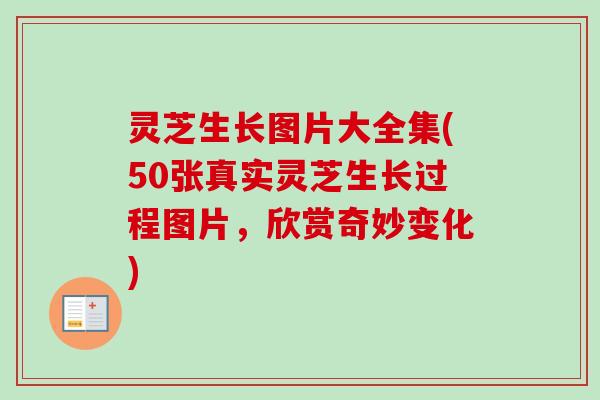 灵芝生长图片大全集(50张真实灵芝生长过程图片，欣赏奇妙变化)