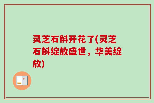 灵芝石斛开花了(灵芝石斛绽放盛世，华美绽放)