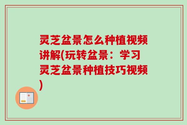 灵芝盆景怎么种植视频讲解(玩转盆景：学习灵芝盆景种植技巧视频)