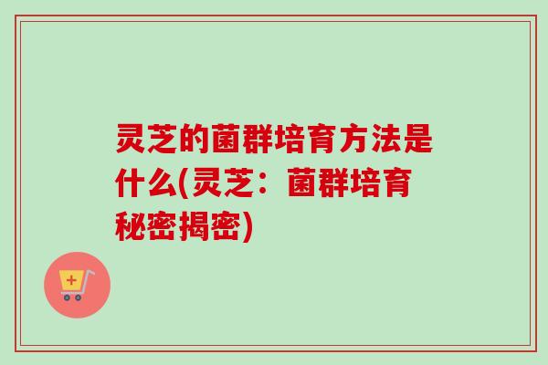 灵芝的菌群培育方法是什么(灵芝：菌群培育秘密揭密)