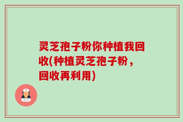 灵芝孢子粉你种植我回收(种植灵芝孢子粉，回收再利用)