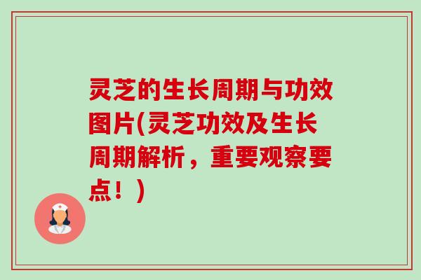 灵芝的生长周期与功效图片(灵芝功效及生长周期解析,重要观察要点!) 灵芝的生长周期与功效图片(灵芝功效及生长周期解析,重要观察要点!)