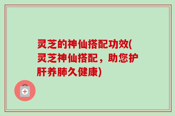 灵芝的神仙搭配功效(灵芝神仙搭配，助您护肝养肺久健康)