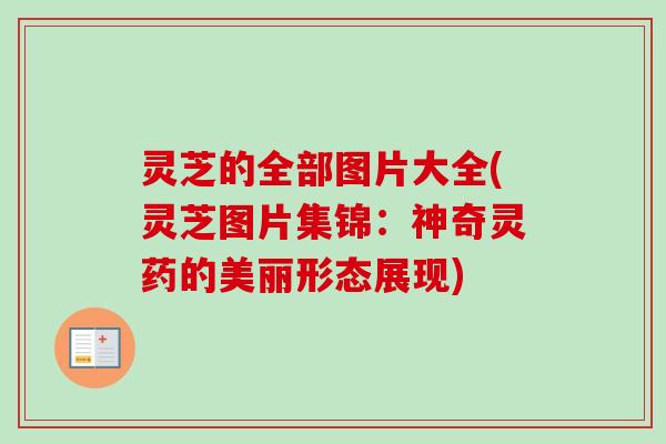 灵芝的全部图片大全(灵芝图片集锦：神奇灵药的美丽形态展现)