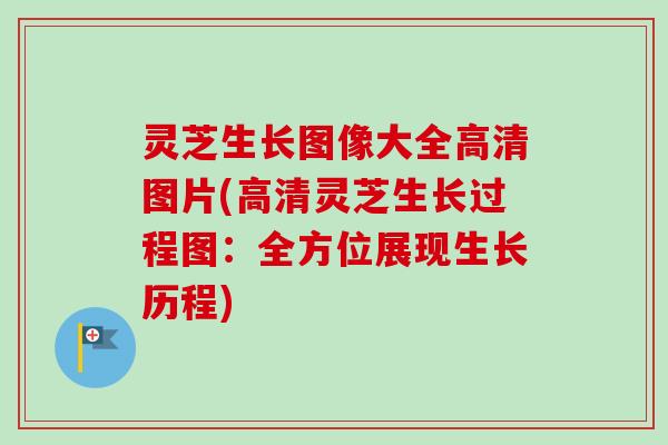 灵芝生长图像大全高清图片(高清灵芝生长过程图：全方位展现生长历程)