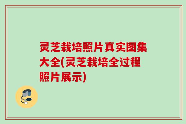 灵芝栽培照片真实图集大全(灵芝栽培全过程照片展示) 灵芝栽培照片真实图集大全(灵芝栽培全过程照片展示)