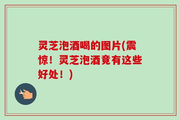 灵芝泡酒喝的图片(震惊！灵芝泡酒竟有这些好处！)