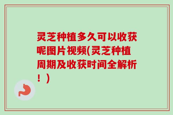 灵芝种植多久可以收获呢图片视频(灵芝种植周期及收获时间全解析!) 灵芝种植多久可以收获呢图片视频(灵芝种植周期及收获时间全解析!)