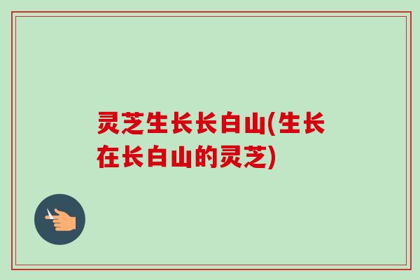 灵芝生长长白山(生长在长白山的灵芝) 灵芝生长长白山(生长在长白山的灵芝)