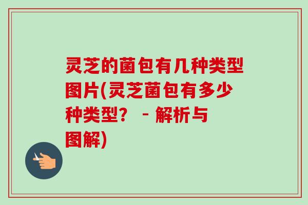 灵芝的菌包有几种类型图片(灵芝菌包有多少种类型? - 解析与图解) 灵芝的菌包有几种类型图片(灵芝菌包有多少种类型? - 解析与图解)