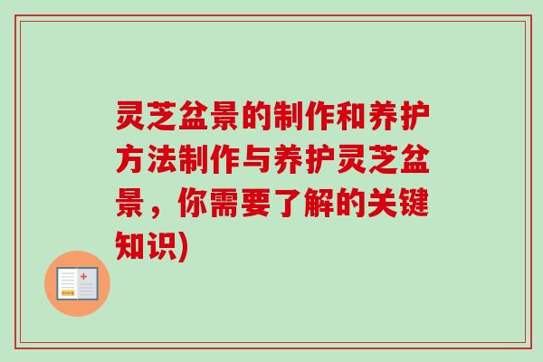 灵芝盆景的制作和养护方法制作与养护灵芝盆景，你需要了解的关键知识)