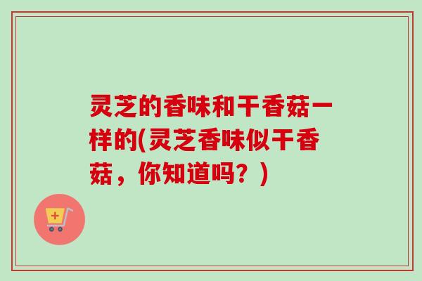 灵芝的香味和干香菇一样的(灵芝香味似干香菇,你知道吗?) 灵芝的香味和干香菇一样的(灵芝香味似干香菇,你知道吗?)