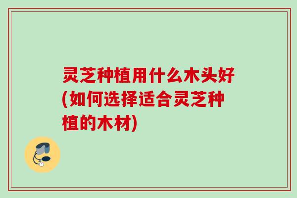 灵芝种植用什么木头好(如何选择适合灵芝种植的木材)