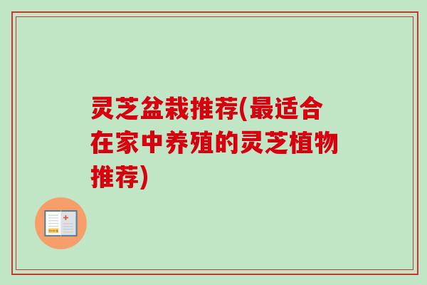 灵芝盆栽推荐(适合在家中养殖的灵芝植物推荐)