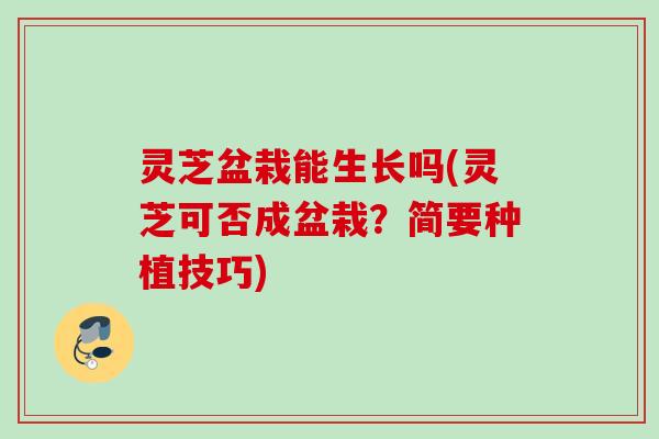 灵芝盆栽能生长吗(灵芝可否成盆栽？简要种植技巧)