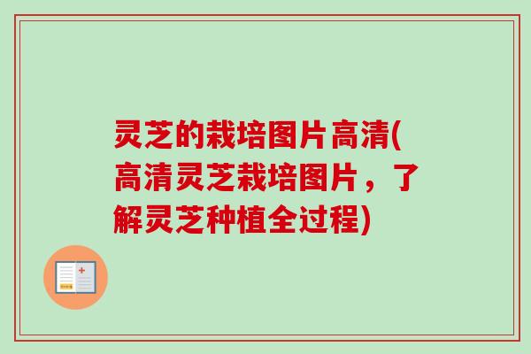 灵芝的栽培图片高清(高清灵芝栽培图片,了解灵芝种植全过程) 灵芝的栽培图片高清(高清灵芝栽培图片,了解灵芝种植全过程)