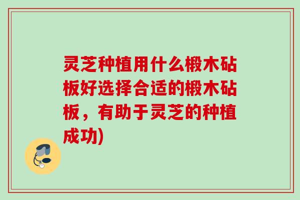 灵芝种植用什么椴木砧板好选择合适的椴木砧板，有助于灵芝的种植成功)