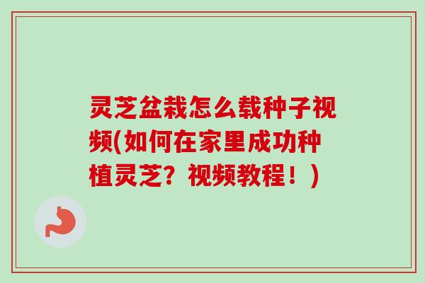 灵芝盆栽怎么载种子视频(如何在家里成功种植灵芝?视频教程!) 灵芝盆栽怎么载种子视频(如何在家里成功种植灵芝?视频教程!)