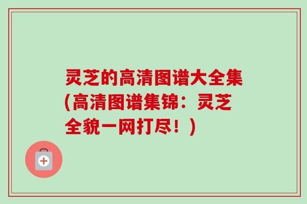 灵芝的高清图谱大全集(高清图谱集锦:灵芝全貌一网打尽!) 灵芝的高清图谱大全集(高清图谱集锦:灵芝全貌一网打尽!)