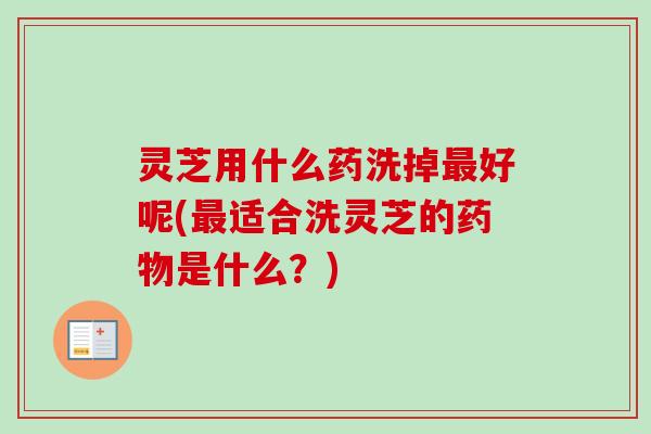 灵芝用什么药洗掉好呢(适合洗灵芝的是什么？)