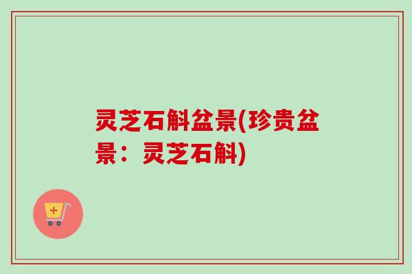 灵芝石斛盆景(珍贵盆景:灵芝石斛) 灵芝石斛盆景(珍贵盆景:灵芝石斛)