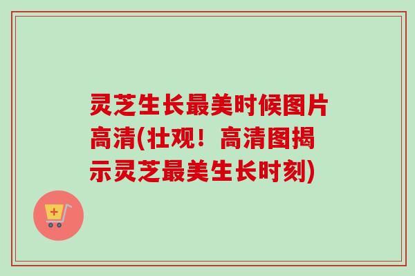 灵芝生长美时候图片高清(壮观!高清图揭示灵芝美生长时刻) 灵芝生长美时候图片高清(壮观!高清图揭示灵芝美生长时刻)