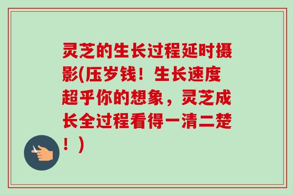 灵芝的生长过程延时摄影(压岁钱!生长速度超乎你的想象,灵芝成长全过程看得一清二楚!) 灵芝的生长过程延时摄影(压岁钱!生长速度超乎你的想象,灵芝成长全过程看得一清二楚!)