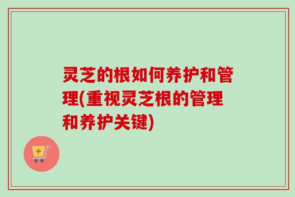 灵芝的根如何养护和管理(重视灵芝根的管理和养护关键) 灵芝的根如何养护和管理(重视灵芝根的管理和养护关键)
