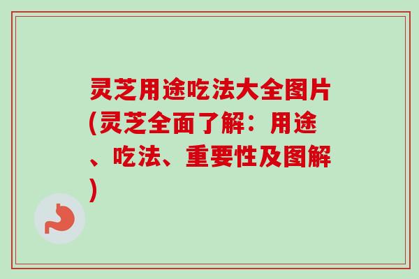 灵芝用途吃法大全图片(灵芝全面了解:用途、吃法、重要性及图解) 灵芝用途吃法大全图片(灵芝全面了解:用途、吃法、重要性及图解)