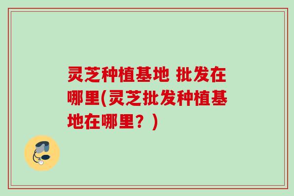 灵芝种植基地 批发在哪里(灵芝批发种植基地在哪里？)