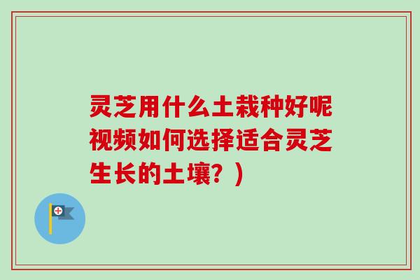 灵芝用什么土栽种好呢视频如何选择适合灵芝生长的土壤?) 灵芝用什么土栽种好呢视频如何选择适合灵芝生长的土壤?)