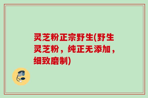 灵芝粉正宗野生(野生灵芝粉,纯正无添加,细致磨制) 灵芝粉正宗野生(野生灵芝粉,纯正无添加,细致磨制)