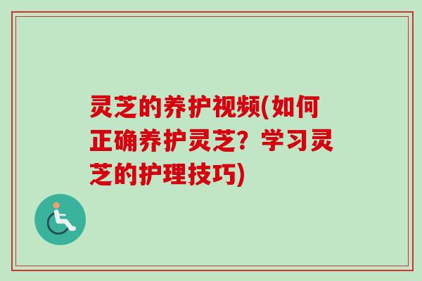 灵芝的养护视频(如何正确养护灵芝?学习灵芝的护理技巧) 灵芝的养护视频(如何正确养护灵芝?学习灵芝的护理技巧)
