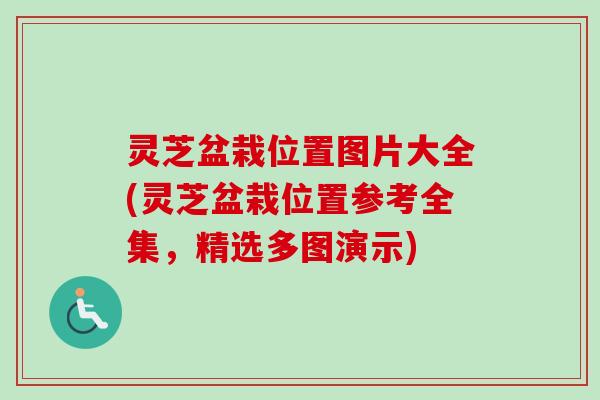 灵芝盆栽位置图片大全(灵芝盆栽位置参考全集，精选多图演示)