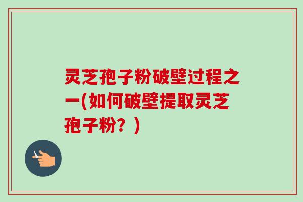 灵芝孢子粉破壁过程之一(如何破壁提取灵芝孢子粉？)