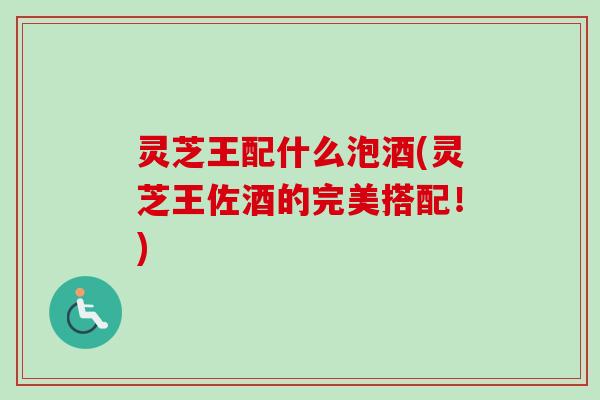 灵芝王配什么泡酒(灵芝王佐酒的完美搭配！)