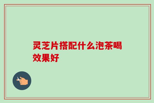灵芝片搭配什么泡茶喝效果好 灵芝片搭配什么泡茶喝效果好