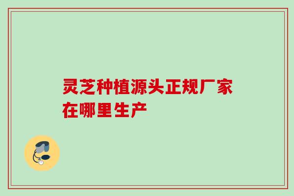 灵芝种植源头正规厂家在哪里生产 灵芝种植源头正规厂家在哪里生产