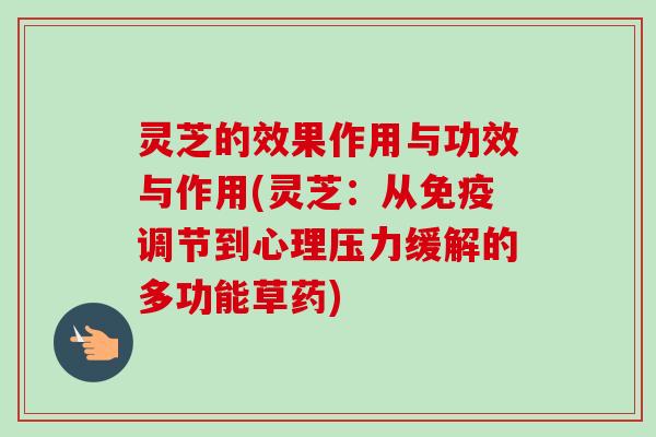 灵芝的效果作用与功效与作用(灵芝:从免疫调节到心理压力缓解的多功能草药) 灵芝的效果作用与功效与作用(灵芝:从免疫调节到心理压力缓解的多功能草药)
