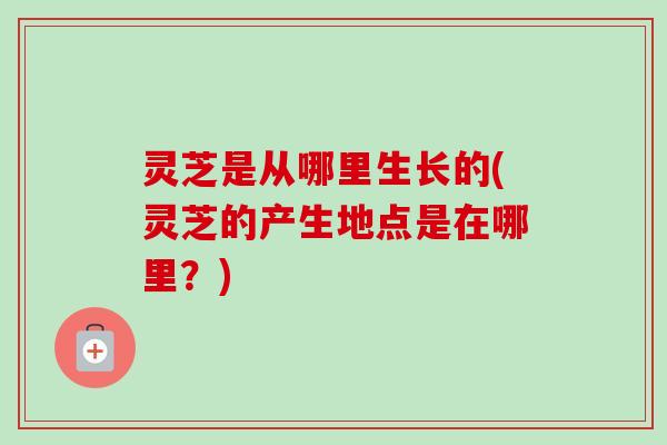 灵芝是从哪里生长的(灵芝的产生地点是在哪里?) 灵芝是从哪里生长的(灵芝的产生地点是在哪里?)